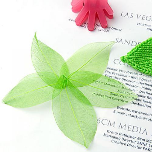 Natural Catbrier Skeleton Leav - Craft Embellishment review and price