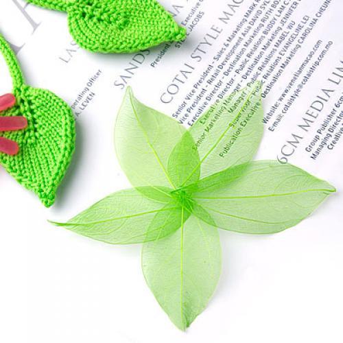 Natural Catbrier Skeleton Leav - Craft Embellishment review and price
