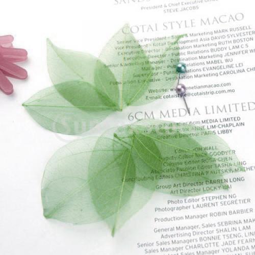 Natural Catbrier Skeleton Leav - Craft Embellishment review and price