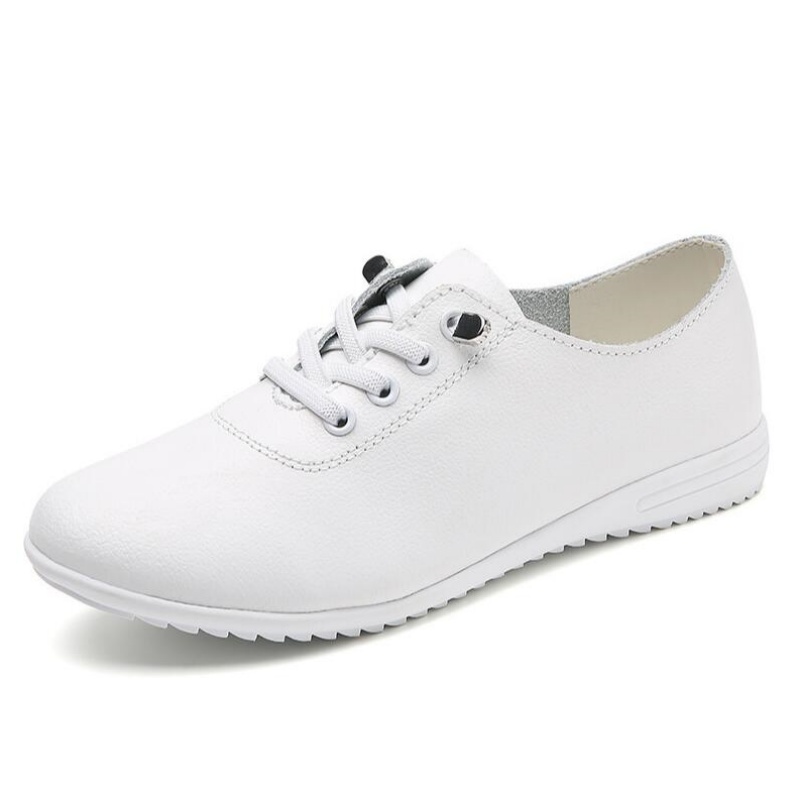 Female Ladies Women's Genuine  - Guipure Lace Panel review and price